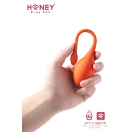 Lili Oeuf vibrant TLC ou connecté smartphone USB