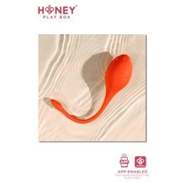 Lili Oeuf vibrant TLC ou connecté smartphone USB