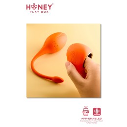 Lili Oeuf vibrant TLC ou connecté smartphone USB