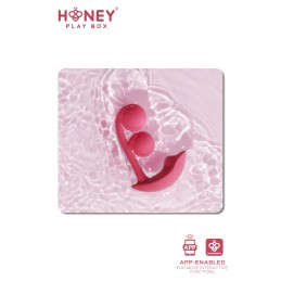 Melody Stimulateur Point G 2 billes et clitoris connecté smartphone USB Melody Stimulateur Point G 2 billes et clitoris connecté smartphone USB