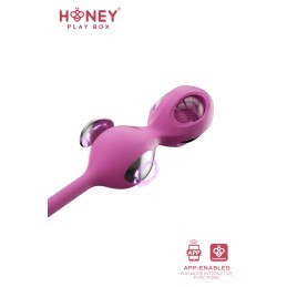 Elektra Kit 4 Boules Geisha électrostimulation douce connectée smartphone USB