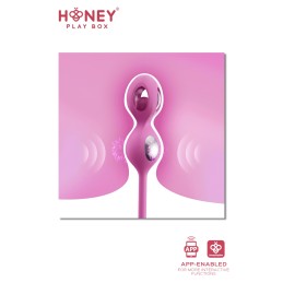 Elektra Kit 4 Boules Geisha électrostimulation douce connectée smartphone USB