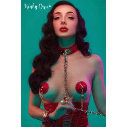 Collier Glossy & Laisse mousqueton doré Collier Glossy & Laisse mousqueton doré