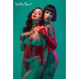 Collier Glossy & Laisse mousqueton doré Collier Glossy & Laisse mousqueton doré