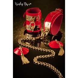 Collier Glossy & Laisse mousqueton doré Collier Glossy & Laisse mousqueton doré