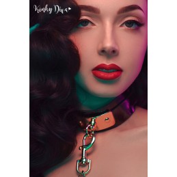 Collier Glossy & Laisse mousqueton doré Collier Glossy & Laisse mousqueton doré