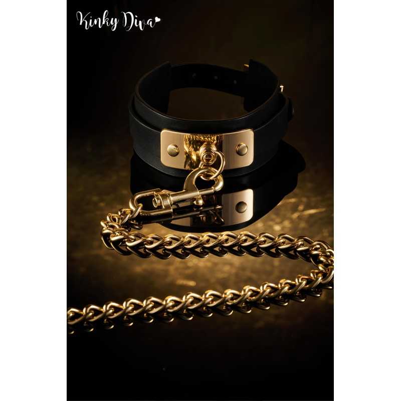 Collier noir plaque dorée & Laisse mousqueton doré