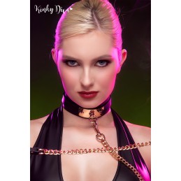 Collier noir plaque dorée & Laisse mousqueton doré Collier noir plaque dorée & Laisse mousqueton doré